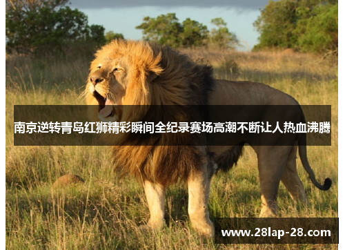 comment-img