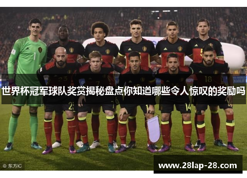 世界杯冠军球队奖赏揭秘盘点你知道哪些令人惊叹的奖励吗
